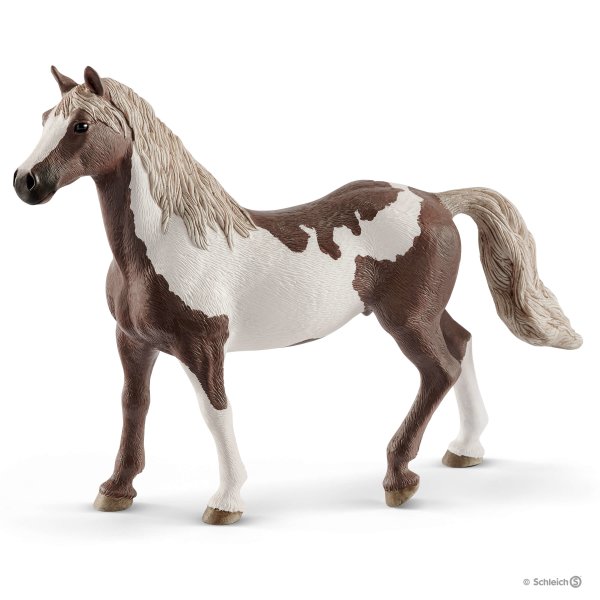 Pint Horse Gelding