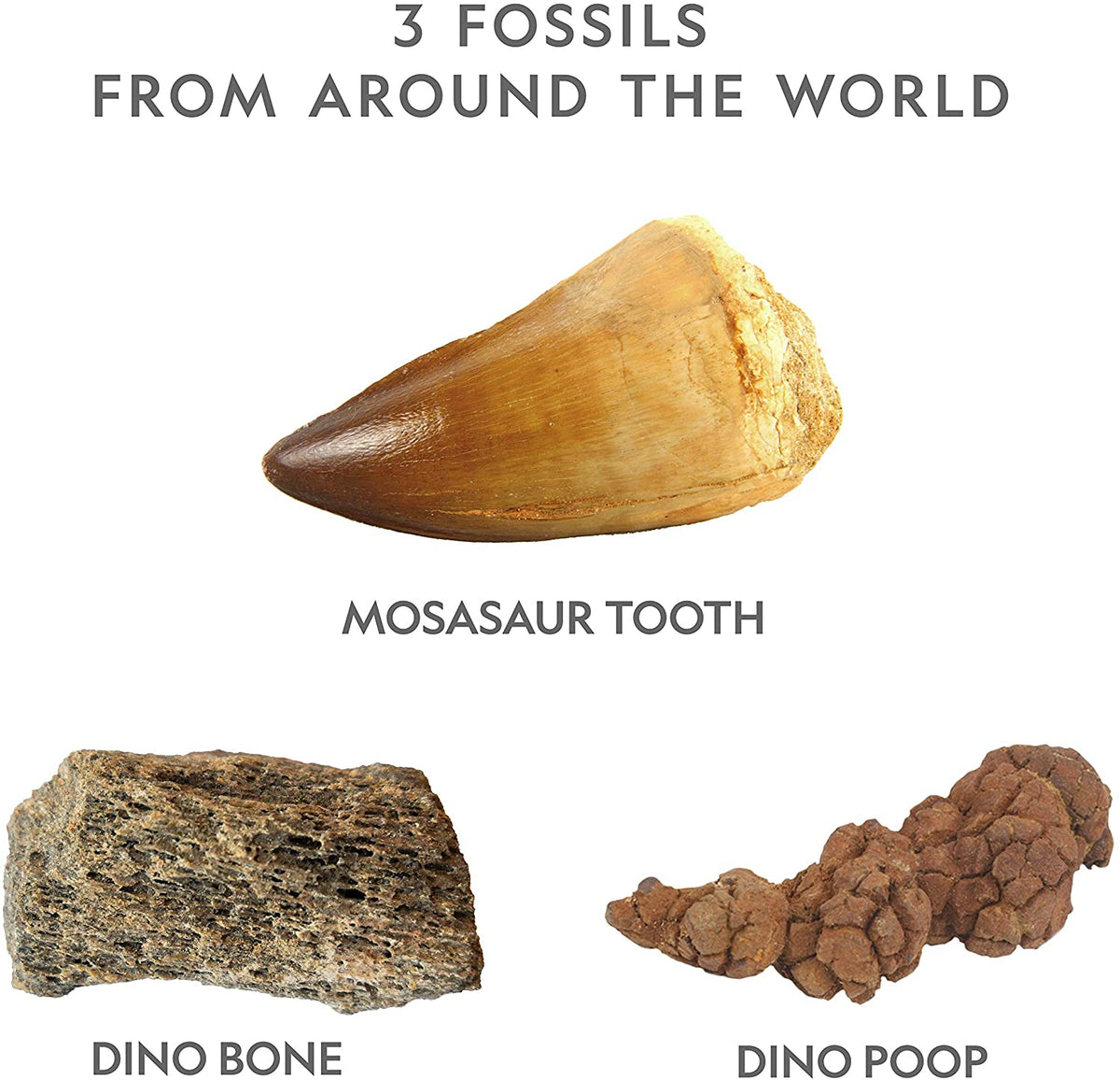 Dino Dig Kit