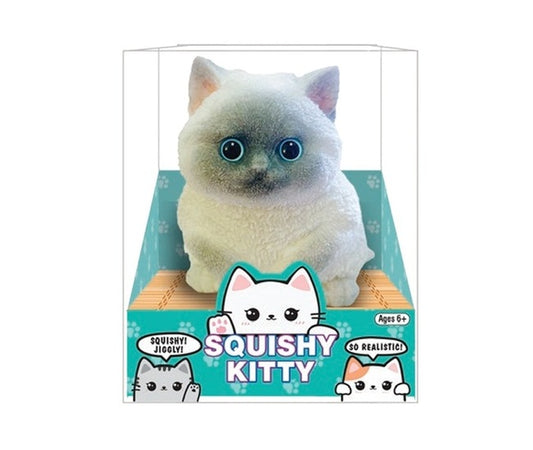 Squishy Kitty