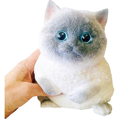 Squishy Kitty