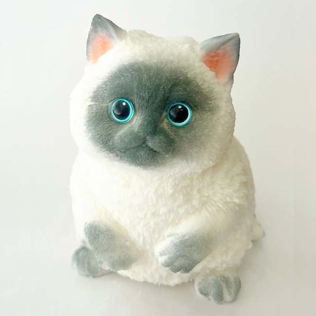 Squishy Kitty