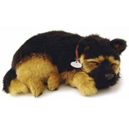 German Shepherd Perfect