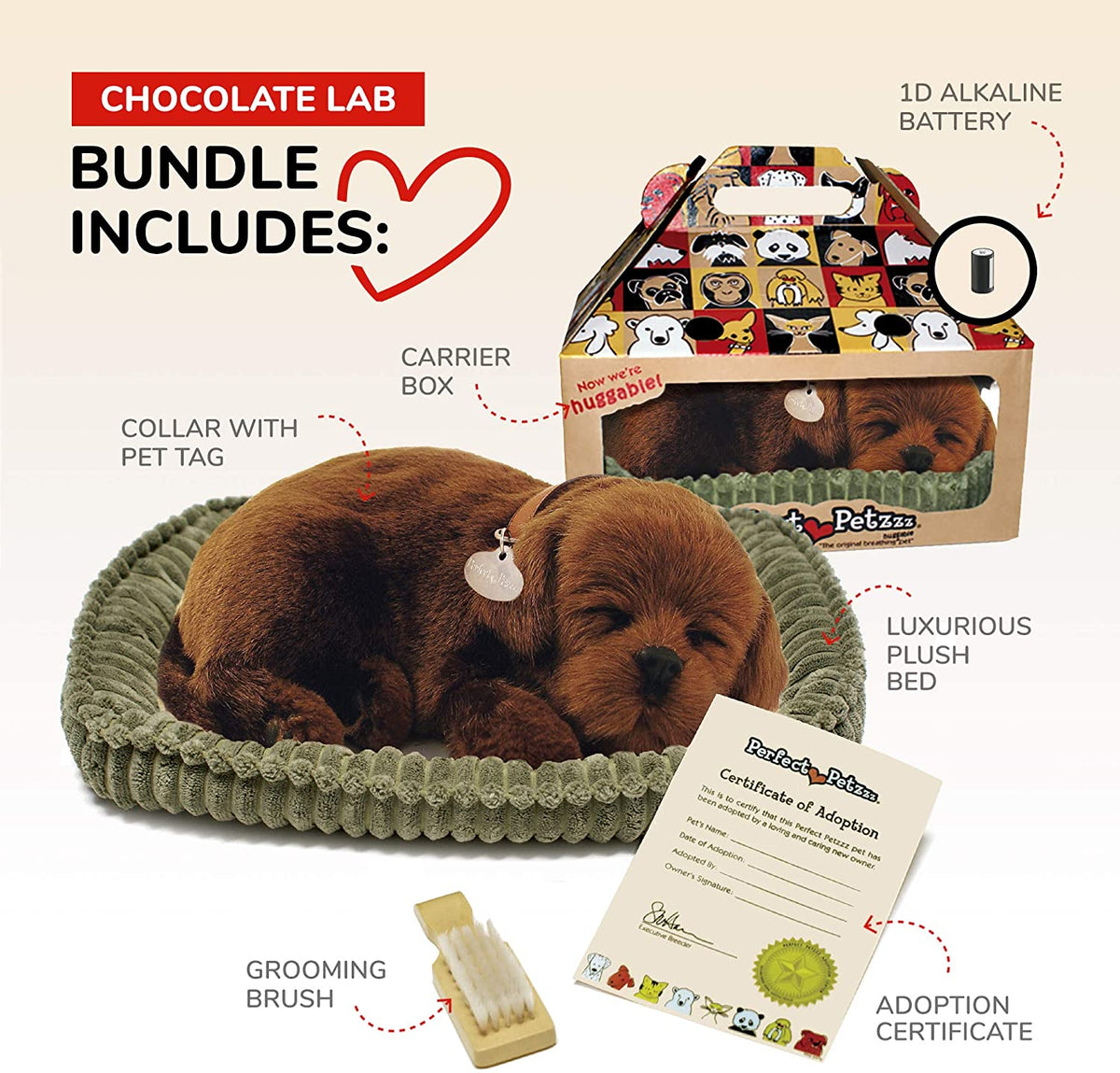 Chocolate Lab