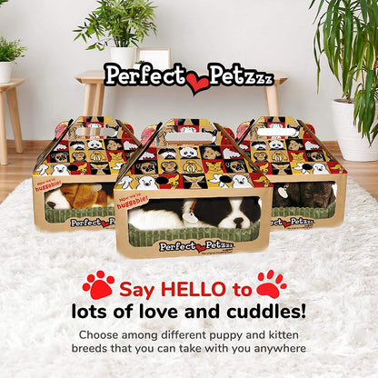 Shih Tzu Perfect Pet