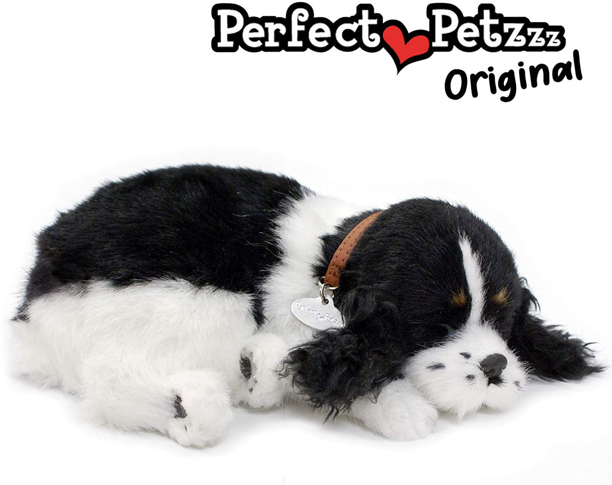Cocker Spaniel