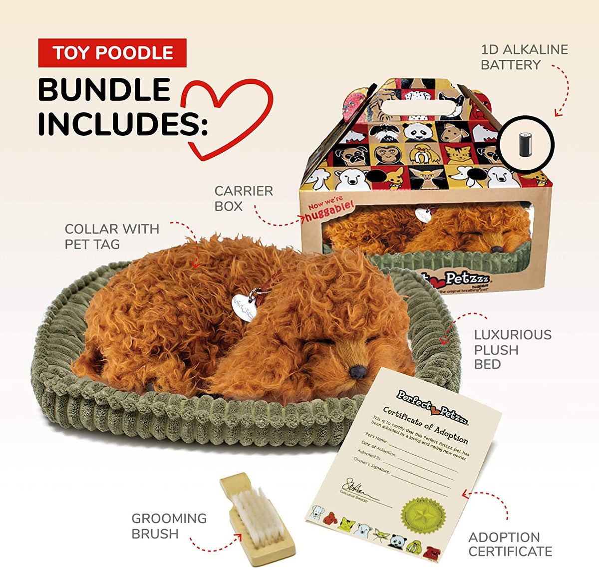 Toy Poodle
