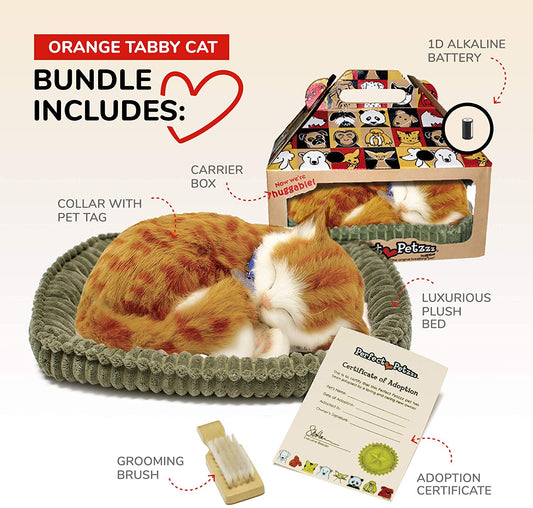 Orange Tabby Perfect Pet