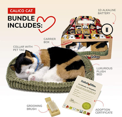Perfect Pet Calico