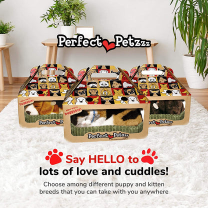 Perfect Pet Calico