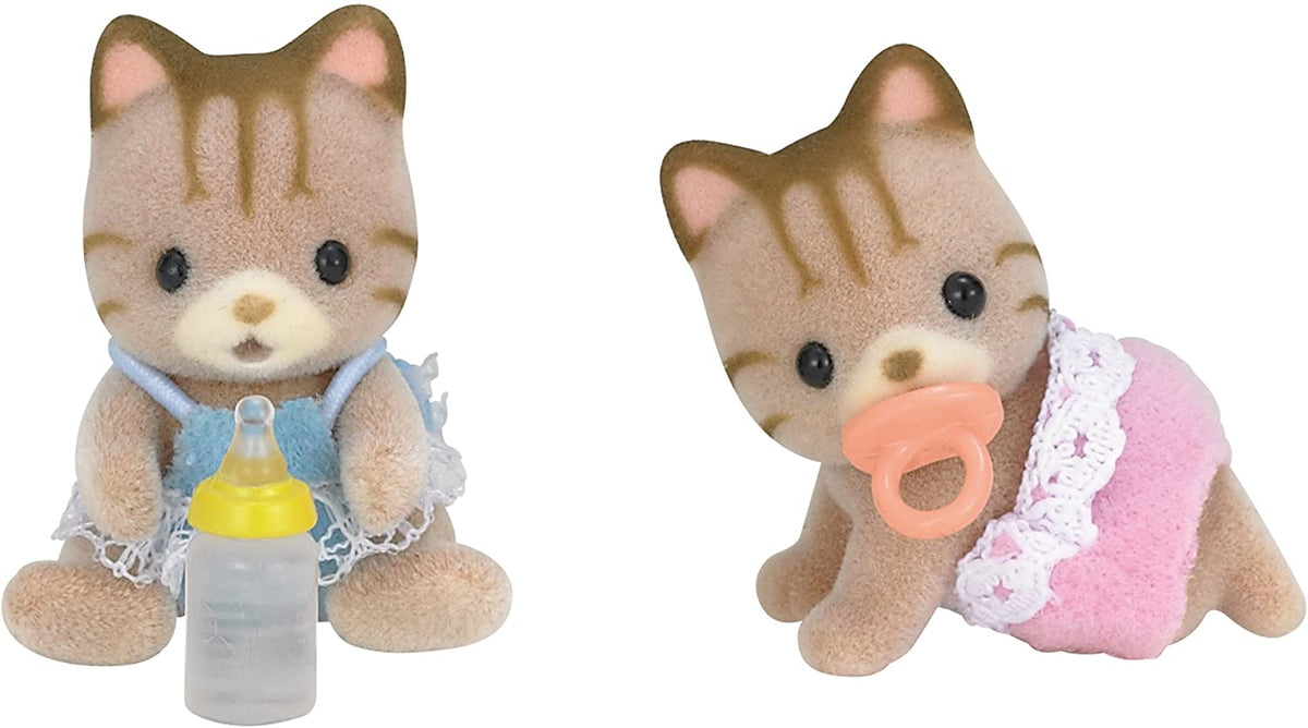 Calico Sandy Cat Twins