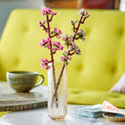 Cerry Blossoms