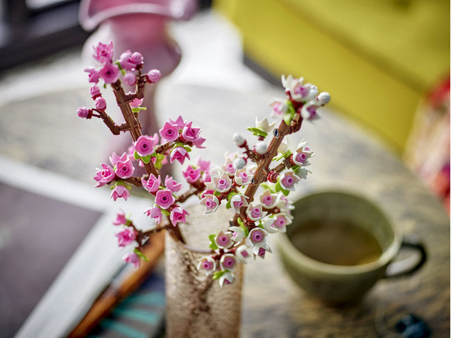 Cerry Blossoms