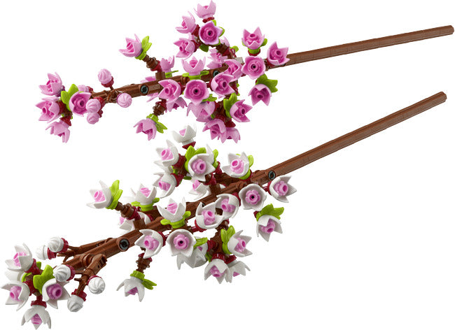 Cerry Blossoms
