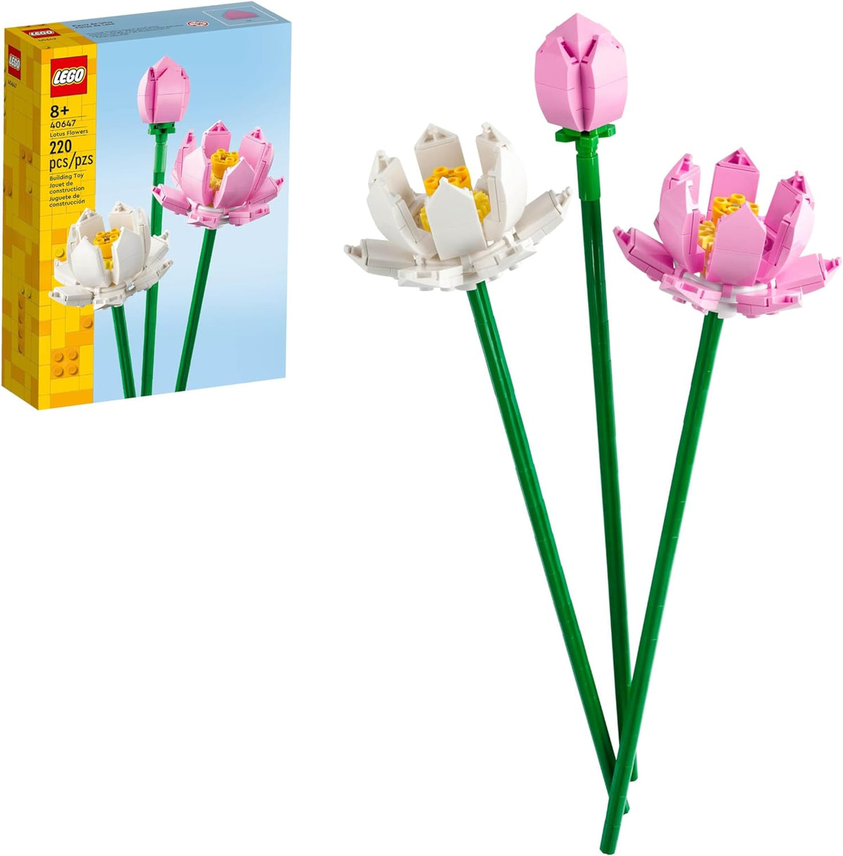 Lotus Flower