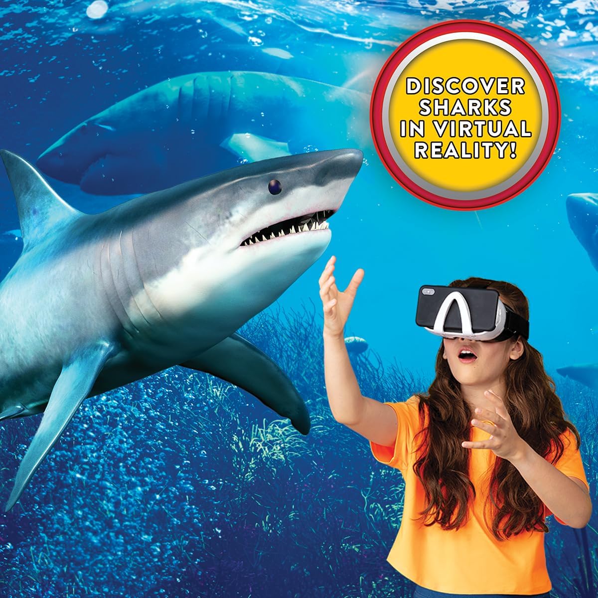VR Lab Shark