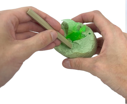 Dino Eggs