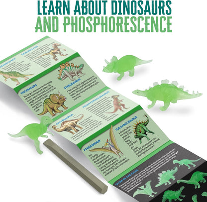 Dino Eggs