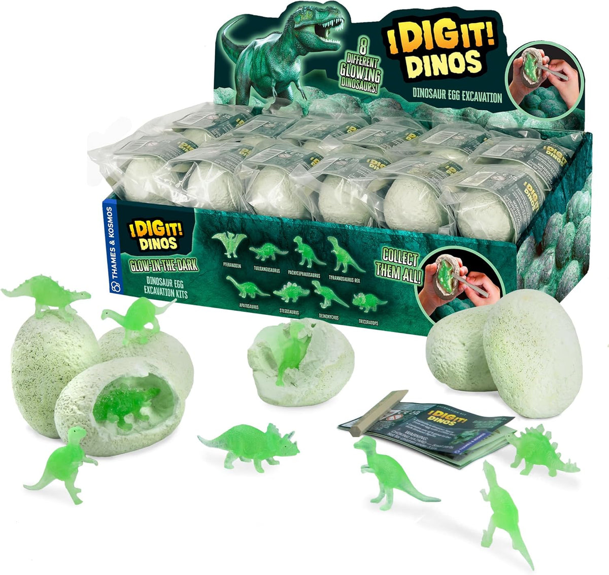 Dino Eggs