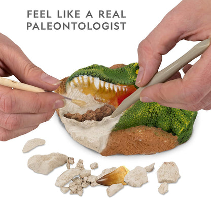 Dino Dig Kit
