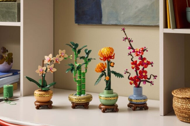 Lucky Bamboo