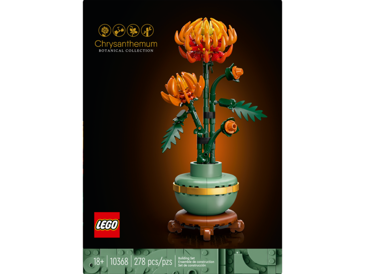 Chrysanthemum