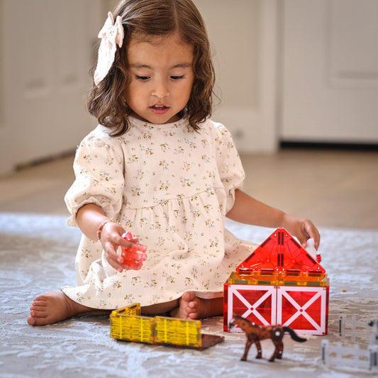 Magna Tiles Farm